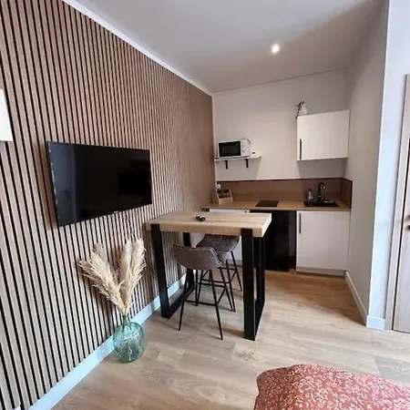 Apartment Le Nid Tranquille De Nancy