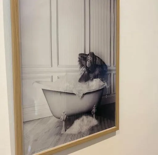 Le Nid Tranquille De Apartment *