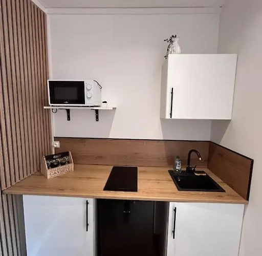 Le Nid Tranquille De Nancy